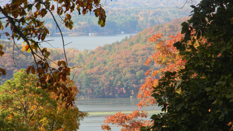 Local Parks and Scenic Spots for Leaf Peeping Around Tuscaloosa | Hamner Real Estate