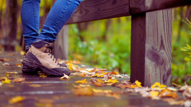 Posts from October 2024